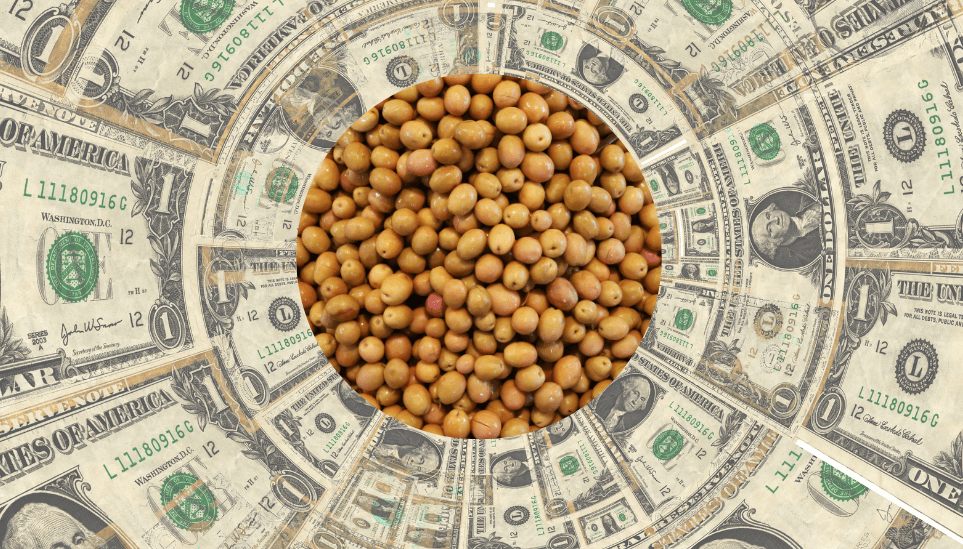 En tiempo de descuento, el “Dólar soja 3” alcanzó las expectativas oficiales