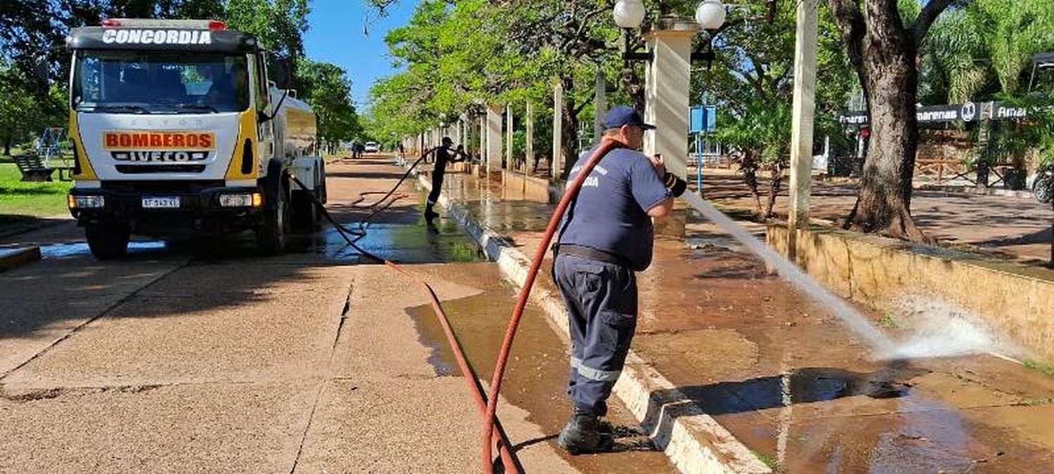 Continúan las tareas de limpieza en la costanera