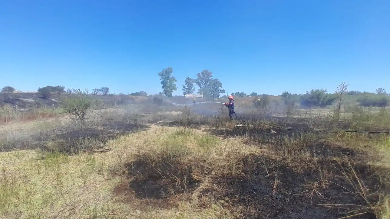 Incendios de pastizales: la emergencia que se repite y nadie quiere ver