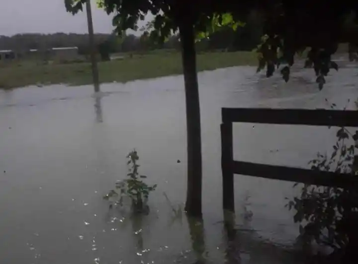 Calles San Martín y Sargento Cabral se inundan en Río Tala.
