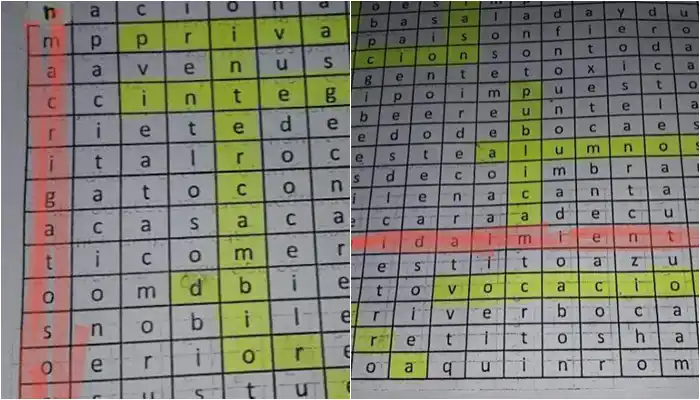 Rojas: Daba sopas de letras a sus alumnos con las palabras "Macri gato" y "Vidal miente"