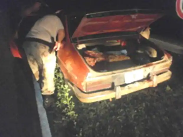 Pretendieron simular  una faena clandestina y dijeron que el animal murió en un accidente