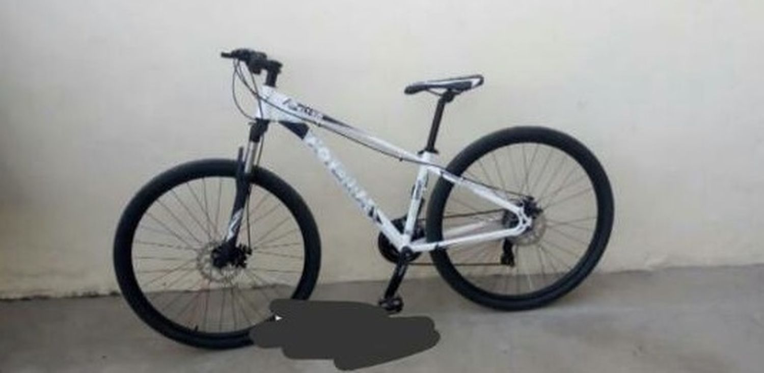 Bici robada en Depietri 1240