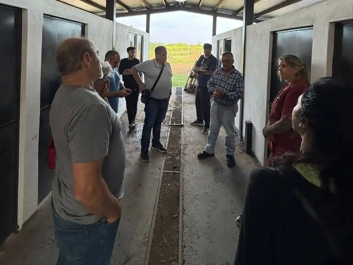 Tras reunirse en los caniles, el Municipio y los proteccionistas firmaron el acta.