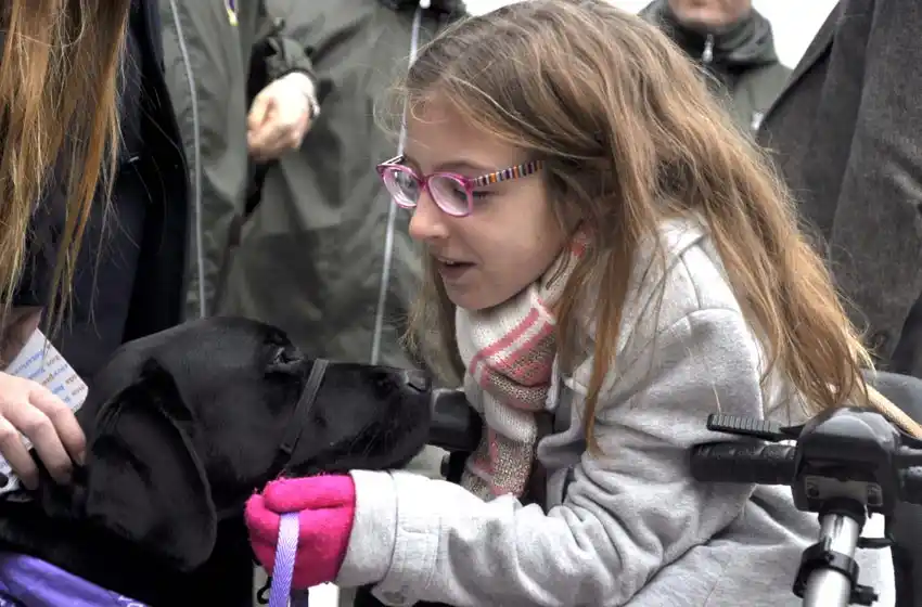 Se entregó el primer carnet de identificación a un perro de asistencia