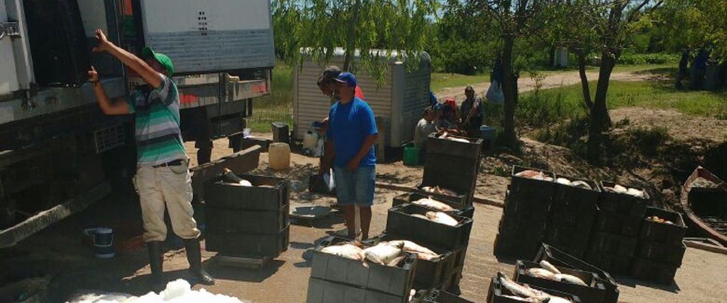 La Gobernación se hizo cargo de la depredación en el Uruguay y tomará medidas