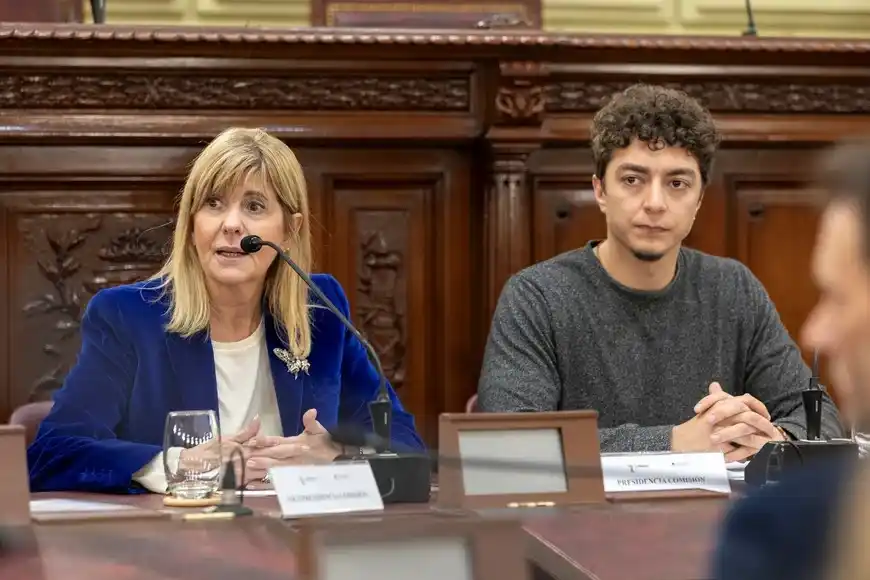 Convención Constituyente