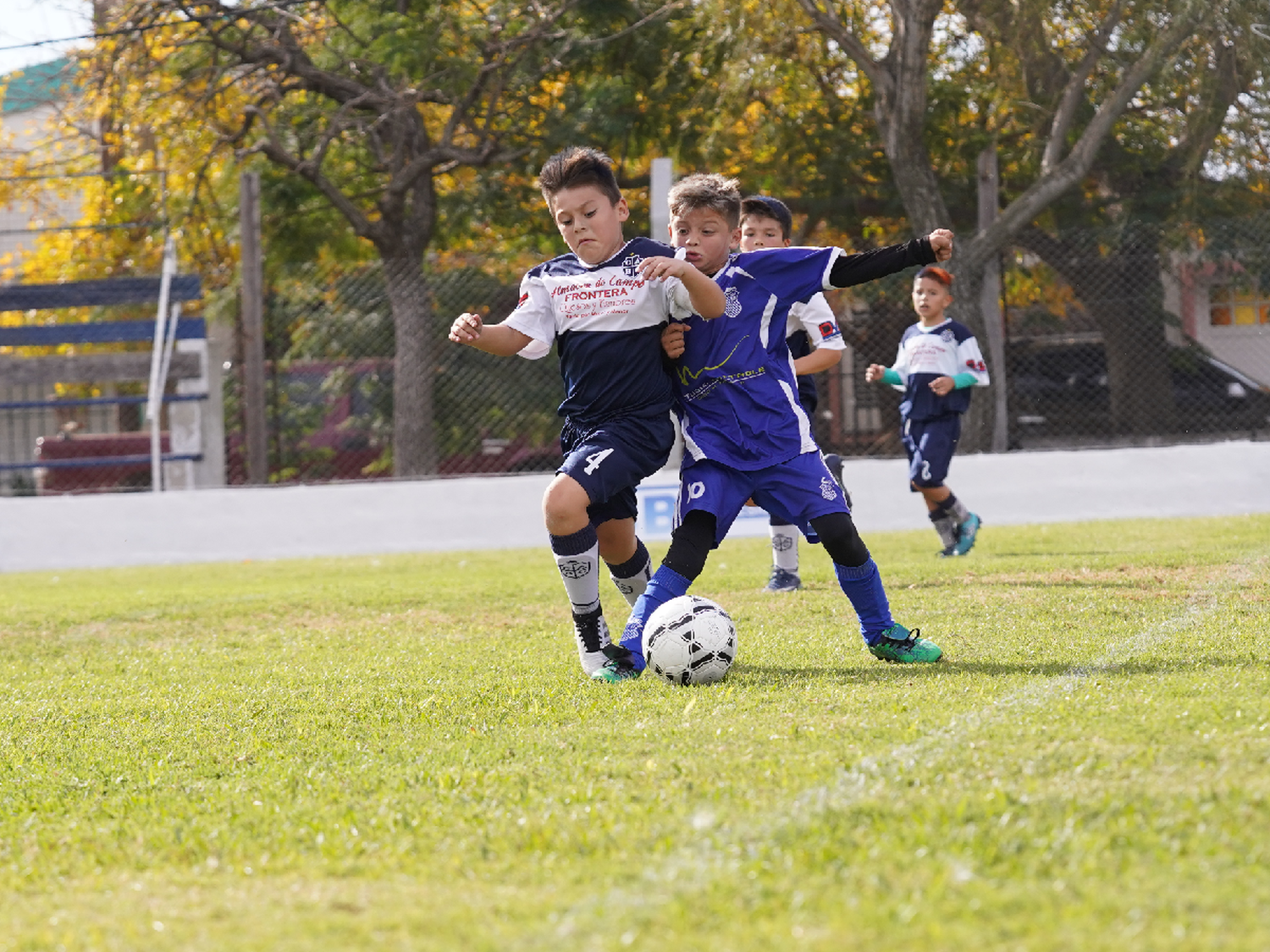 Programaron nueva fecha del Torneo Apertura