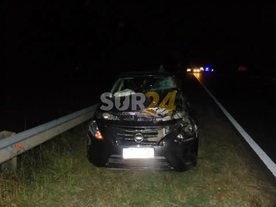 Curva de Pastorino: accidente de autos al chocar contra un caballo