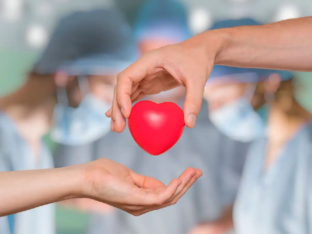 La Argentina sostiene la actividad de la donación  y el trasplante de órganos