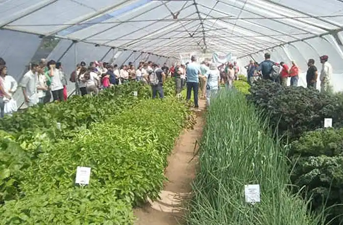 JORNADA HORTÍCOLA 2020 
