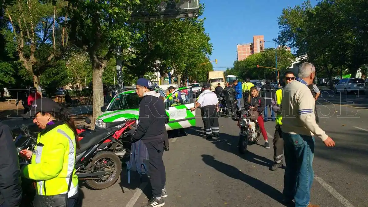 Desbaratan actividad ilegal en Plaza Rocha
