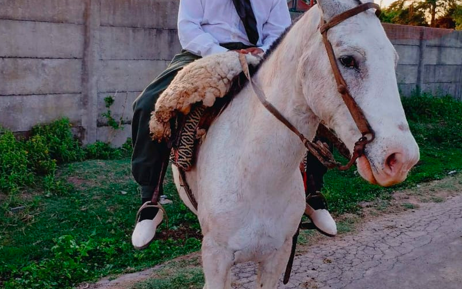 Buscan caballo perdido en La Tosquera