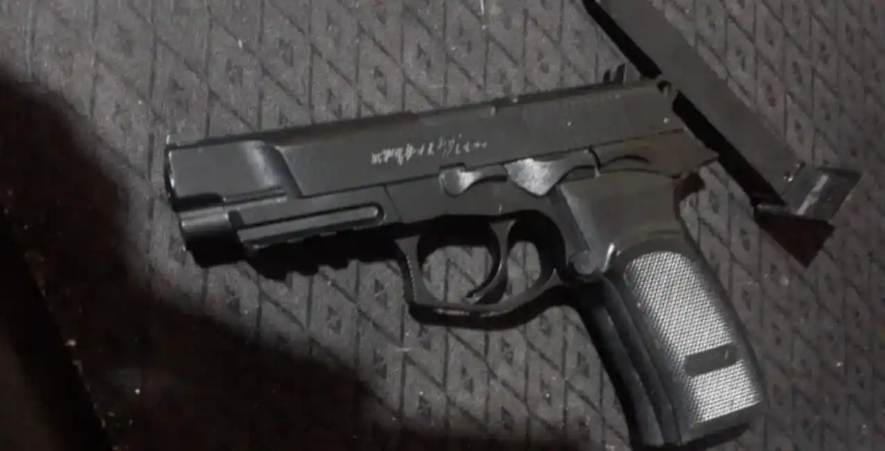 Drogado, empezó a los tiros y agredió a su madre de 88 años