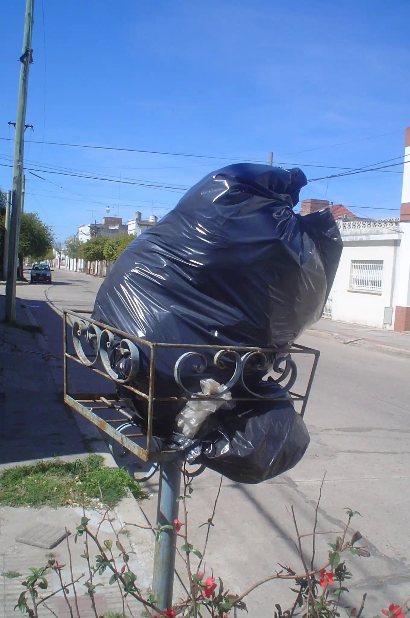 ¿Cuándo sacamos la bolsita?
