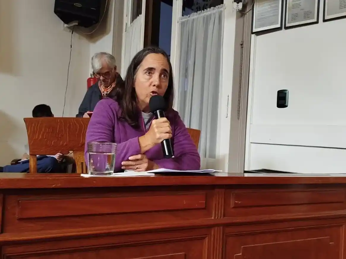 María José Abásolo presentó un proyecto integral para preservar calles de adoquines y granitullos.