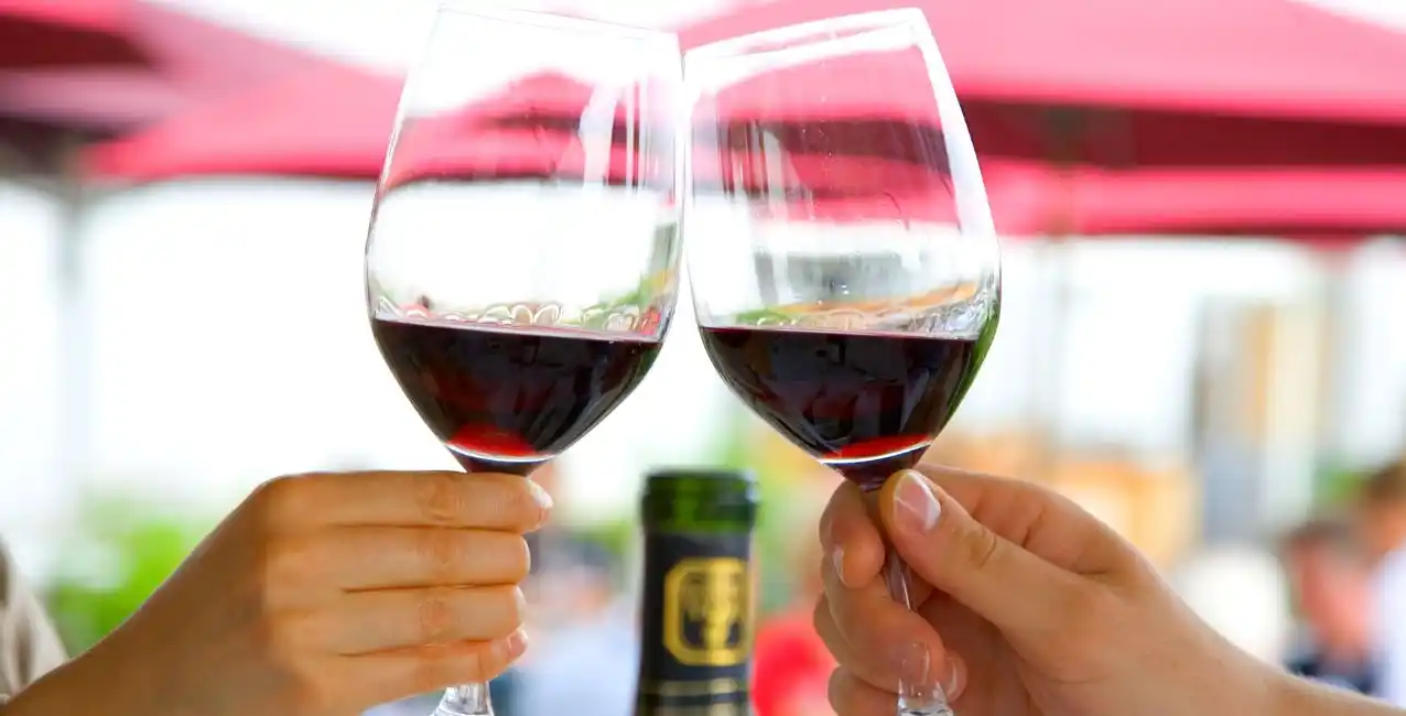 Día del Vino en Argentina: ¿por qué se celebra cada 24 de noviembre?