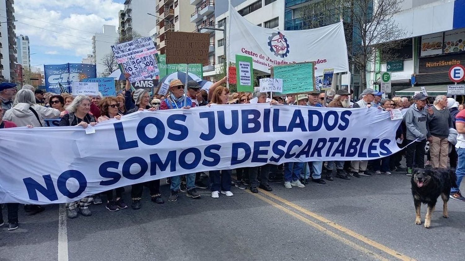 Organizaciones sindicales y sociales acompañaron a jubilados en la marcha.