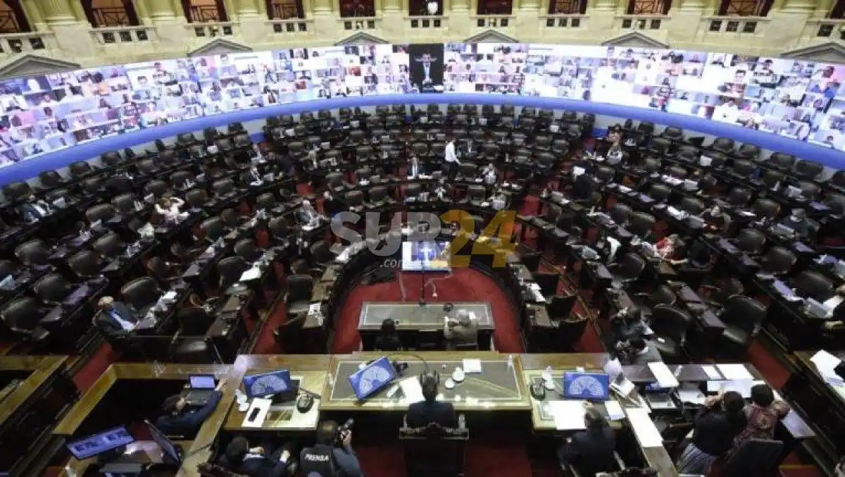 El bloque del Frente de Todos se dividió en dos en el Senado