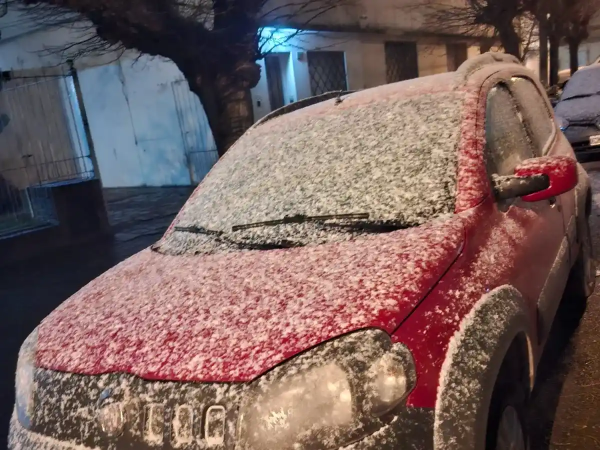 nieve - 3