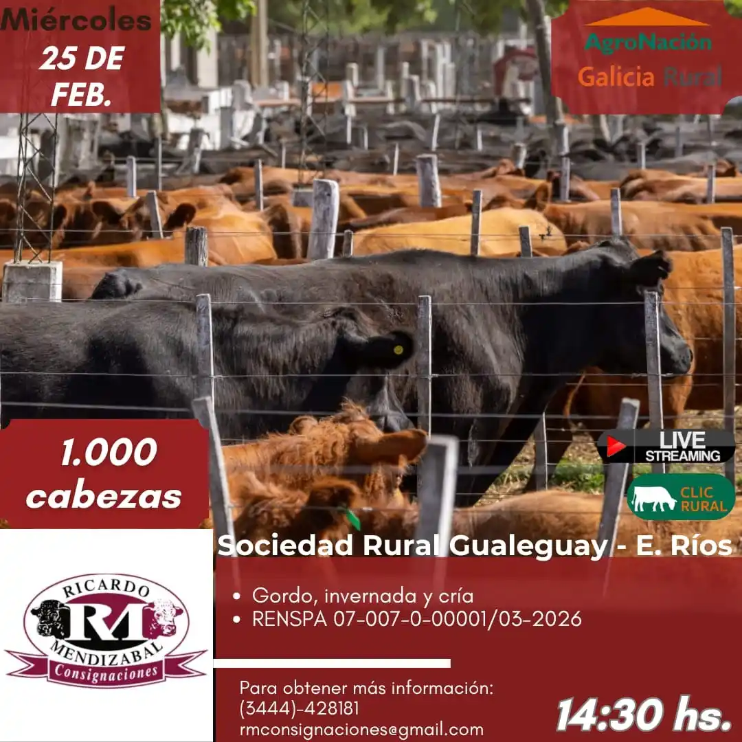 Gualeguay: se realiza hoy el remate mensual de hacienda de Ricardo Mendizabal en la Sociedad Rural