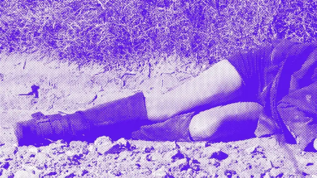 ¡TERRIBLE! FEMINICIDIOS enlutan en Bogotá y Boyacá