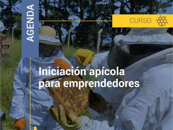 Se dictará un curso de Iniciación Apícola para Emprendedores