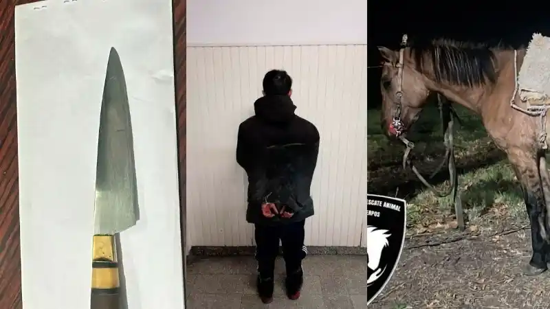 Tres adolescentes detenidos tras asaltar a un joven a caballo en Pérez