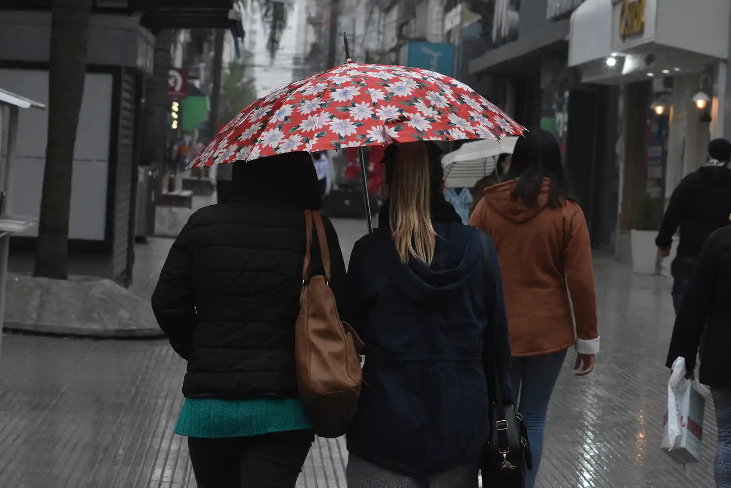 Jueves con tiempo inestable y probabilidad de lluvia en Santa Fe