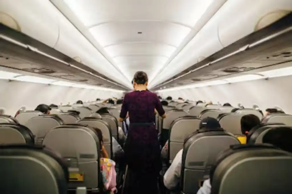 Ocurrió en un Airbus 321 de All Nippon Airways (ANA).