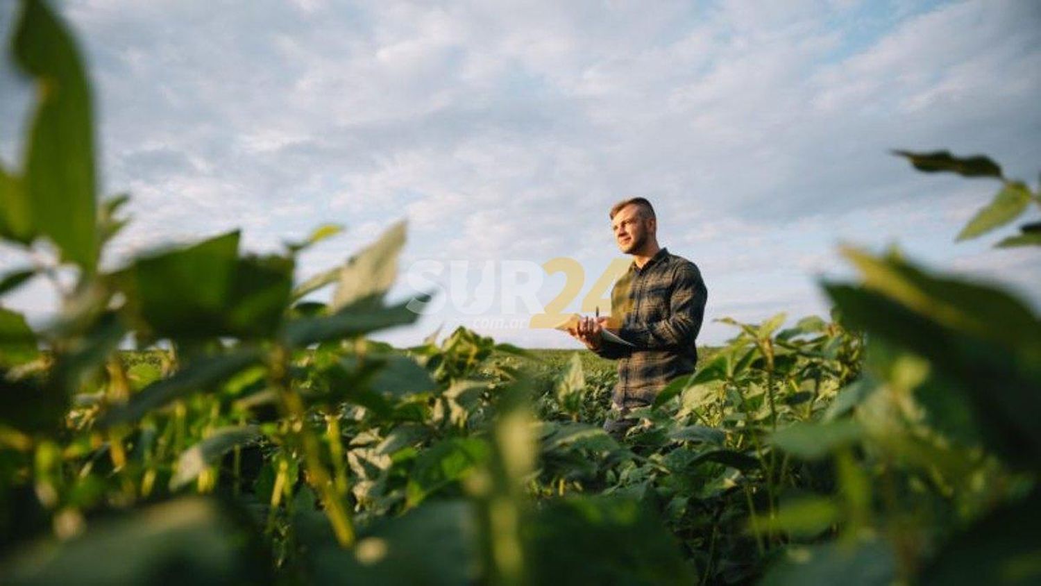 Provincia presentó herramientas de apoyo a productores agropecuarios de los bajos submeridionales 