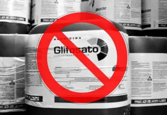 “Debemos prohibir los agrotóxicos porque se pasó un límite y hay que comenzar a sanear”