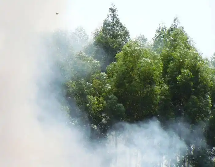 Alto riesgo de incendios forestales para las vacaciones de verano