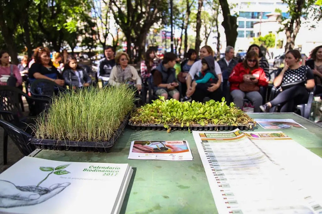 Con gran convocatoria, se realizó el cuarto taller abierto de huerta en Quilmes 