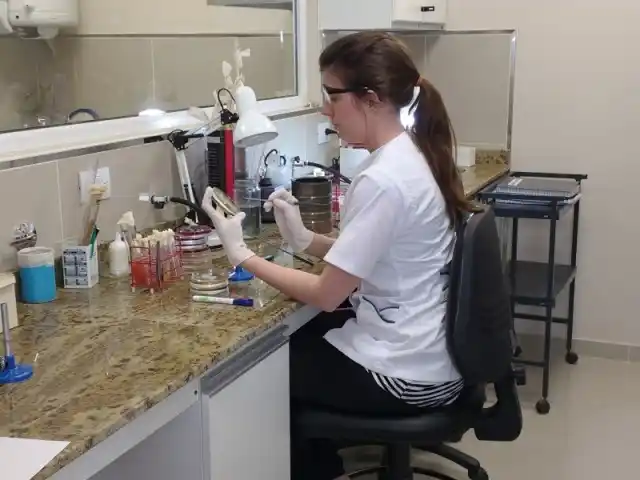 Laboratorio Luca SA - 2