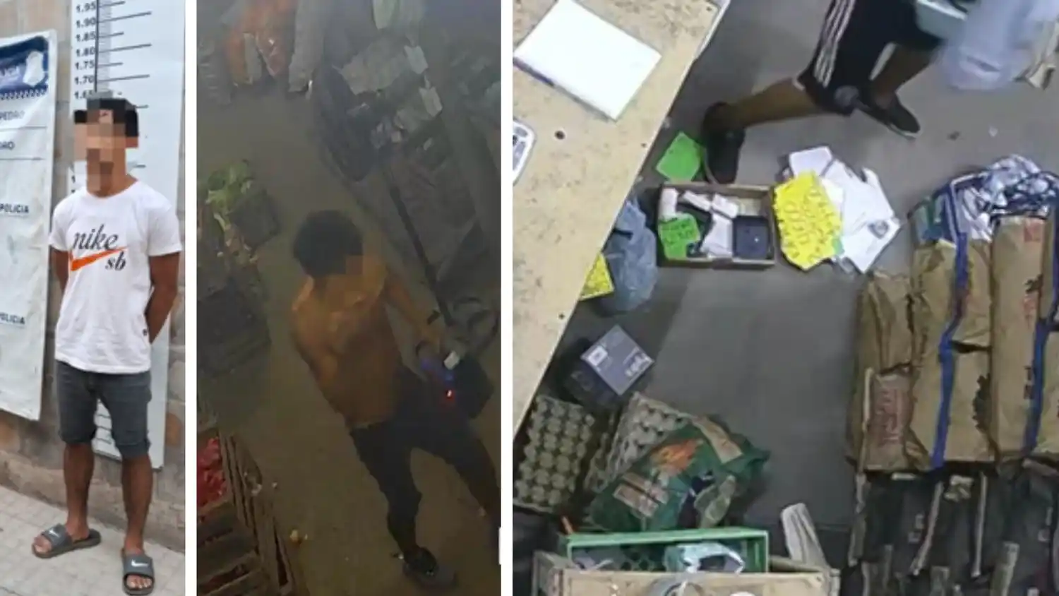 Uno de los autores del robo al comercio de B. Moreno y Las Provincia quedó detenido. Foto: Policía San Pedro.