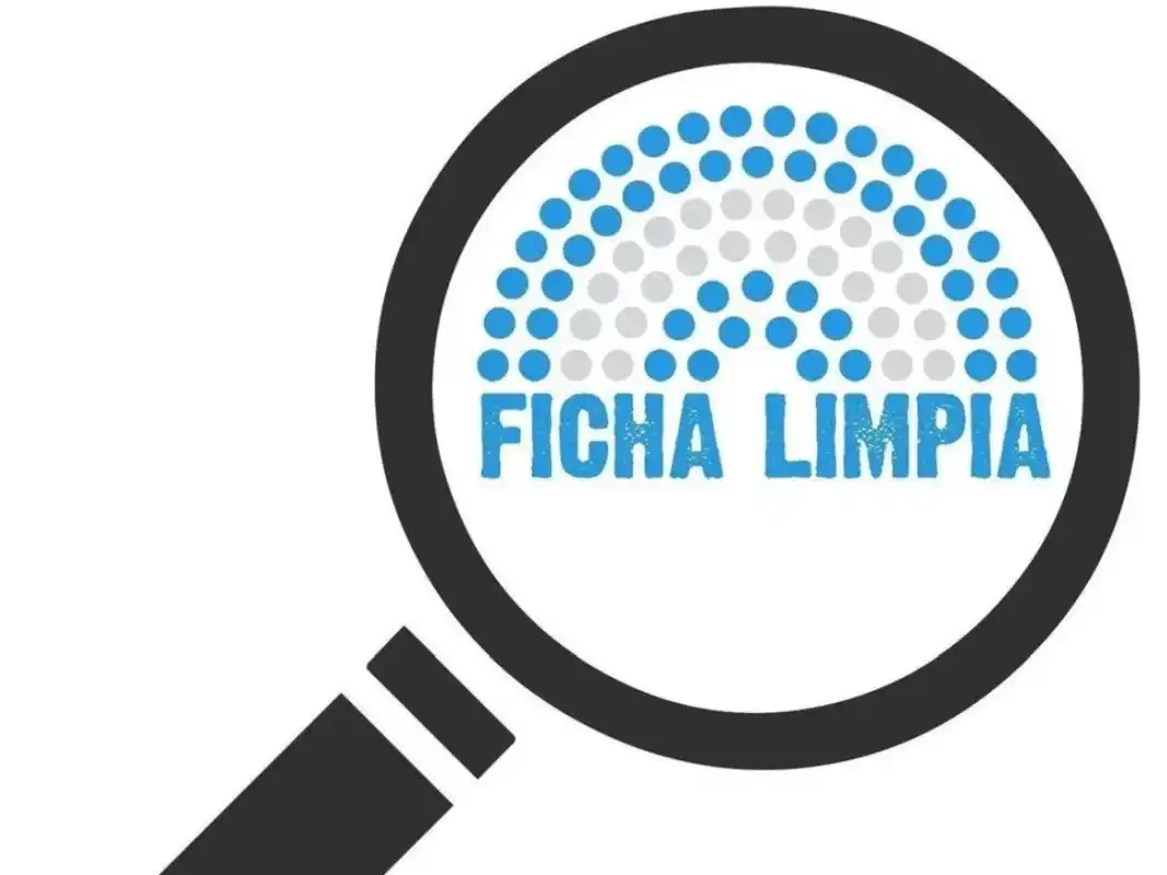 Reforma electoral: los puntos clave de Ficha Limpia