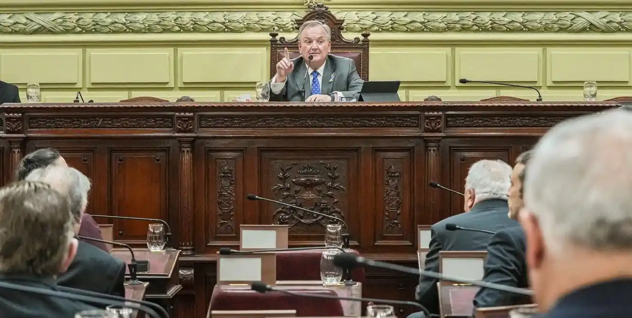 Michlig preside la Convención Reformadora y administra el uso de la palabra. Foto: Flavio Raina