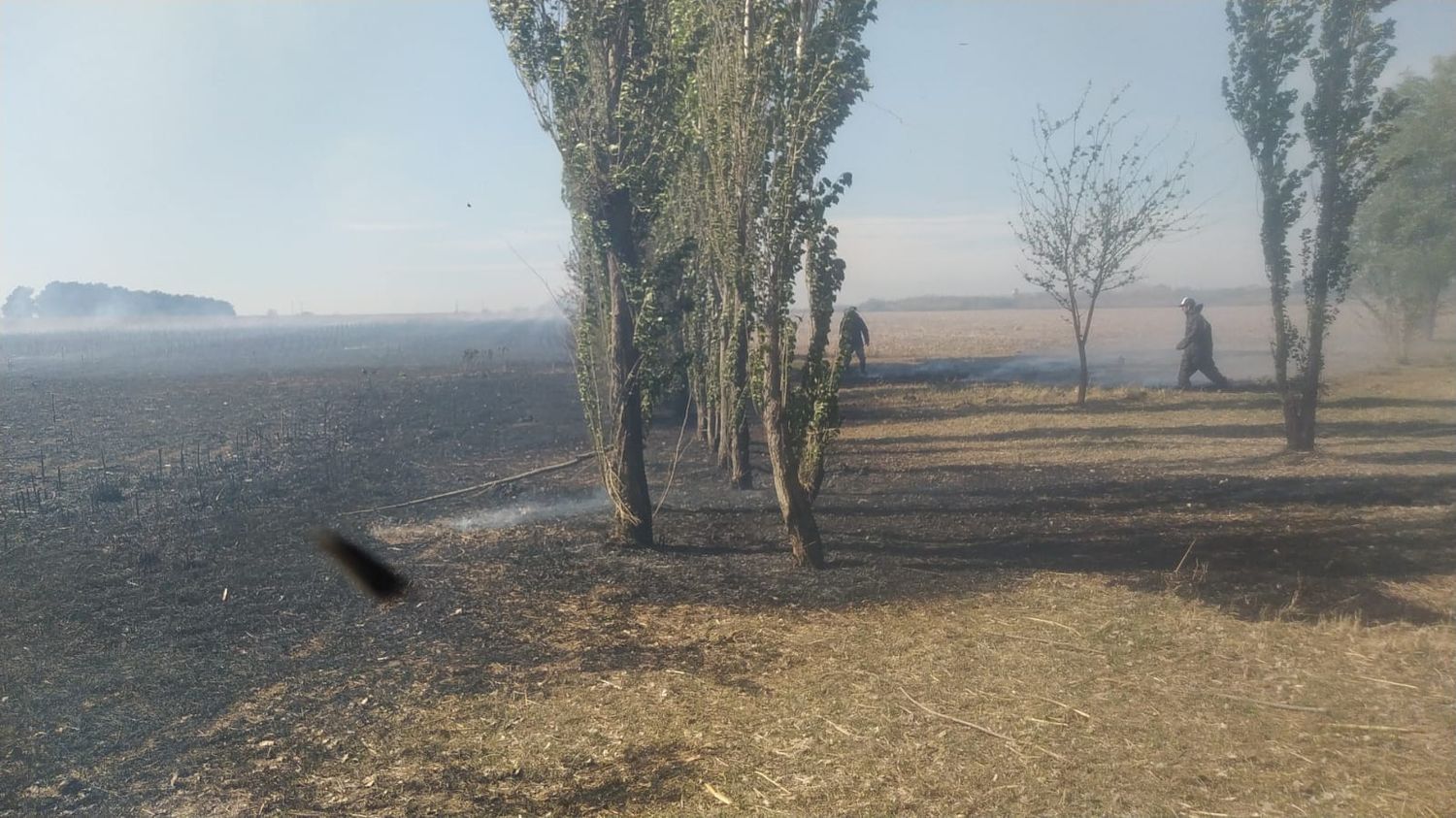 Piden informe por el incendio en Río Tala que derivó en denuncia contra el delegado