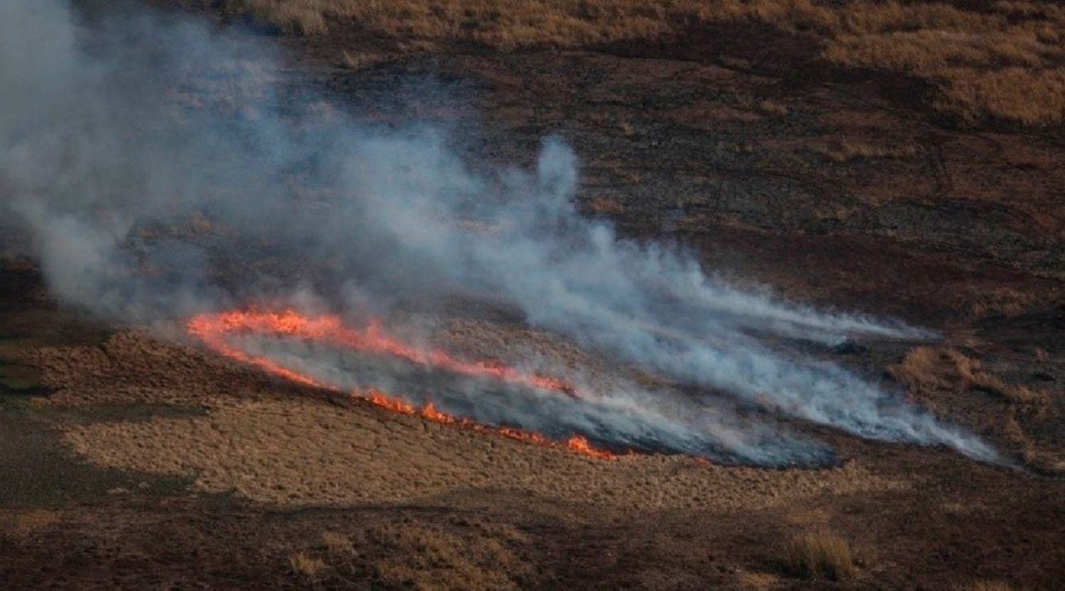 El STJ solicitó que se identifique a los dueños de las tierras del Delta del Paraná que fueron incendiadas
