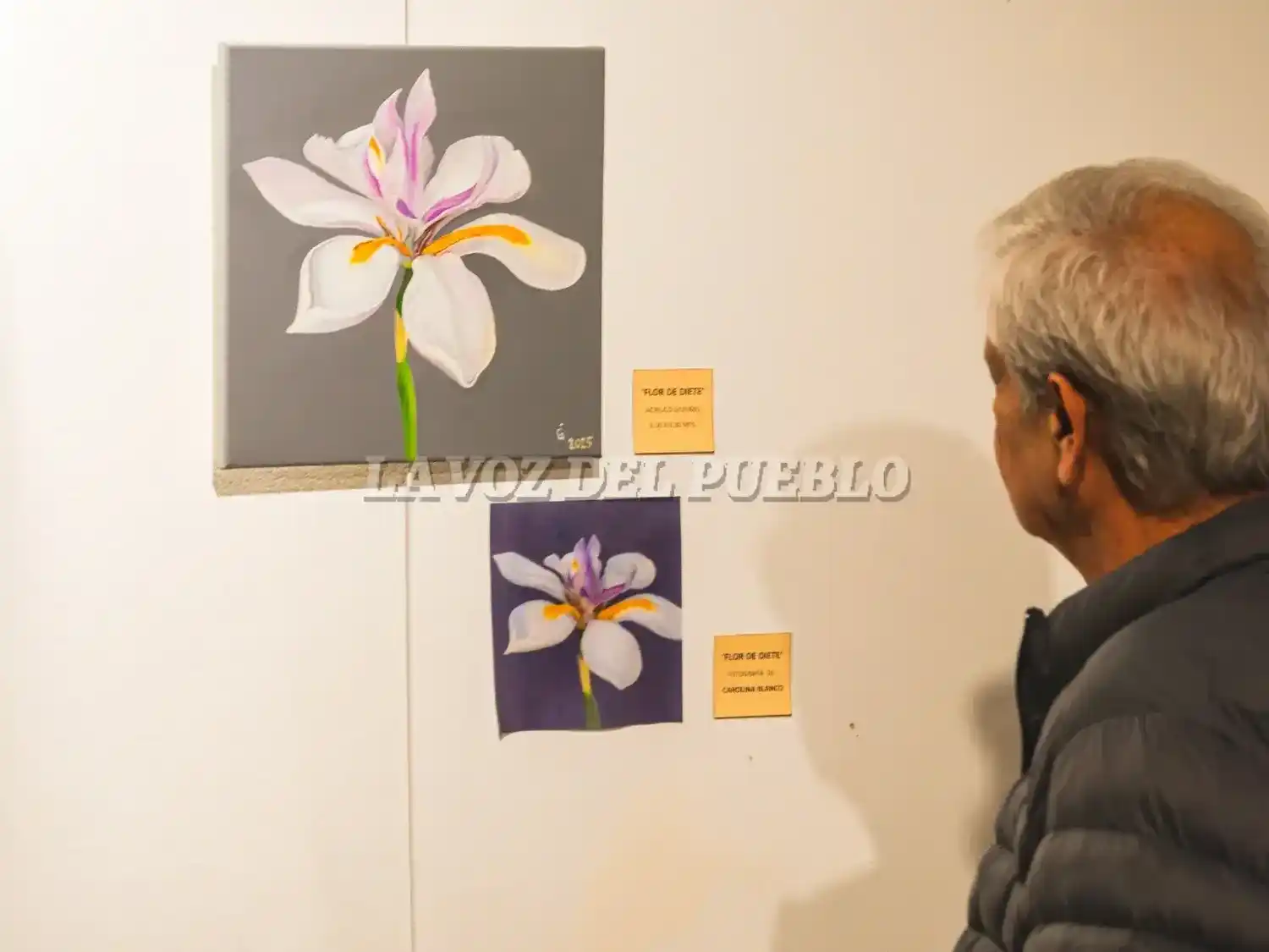Griselda Collazos