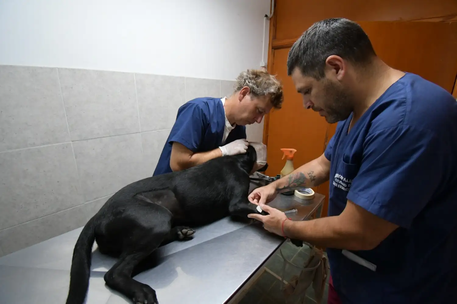 Quince años del “honguito”: un servicio que transformó la salud animal en San Francisco