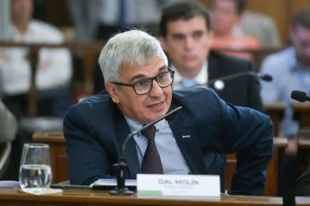 Dal Molin: “Por fin la Legislatura va a poder saber en qué se gastaron miles de millones”