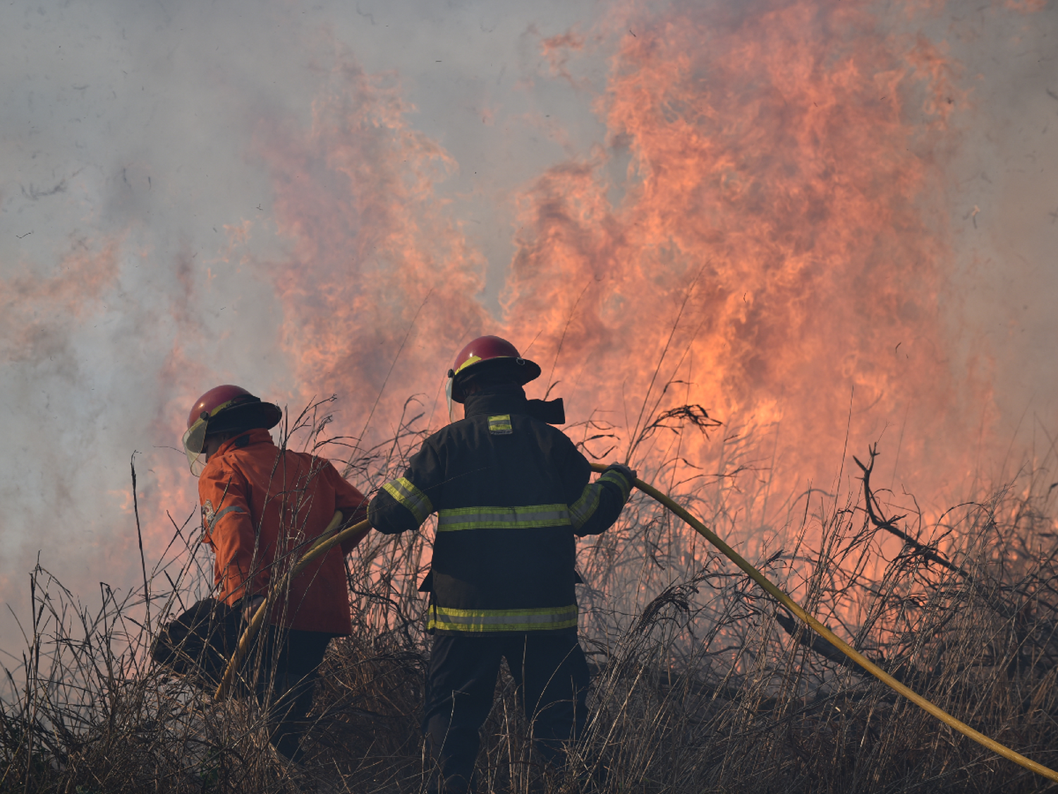Vientos, incendios y realidad