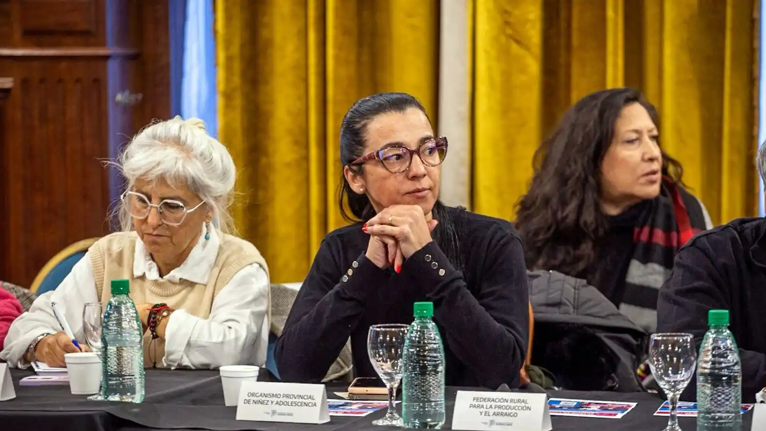 Andrea Cáceres. Durante la reunión plenaria