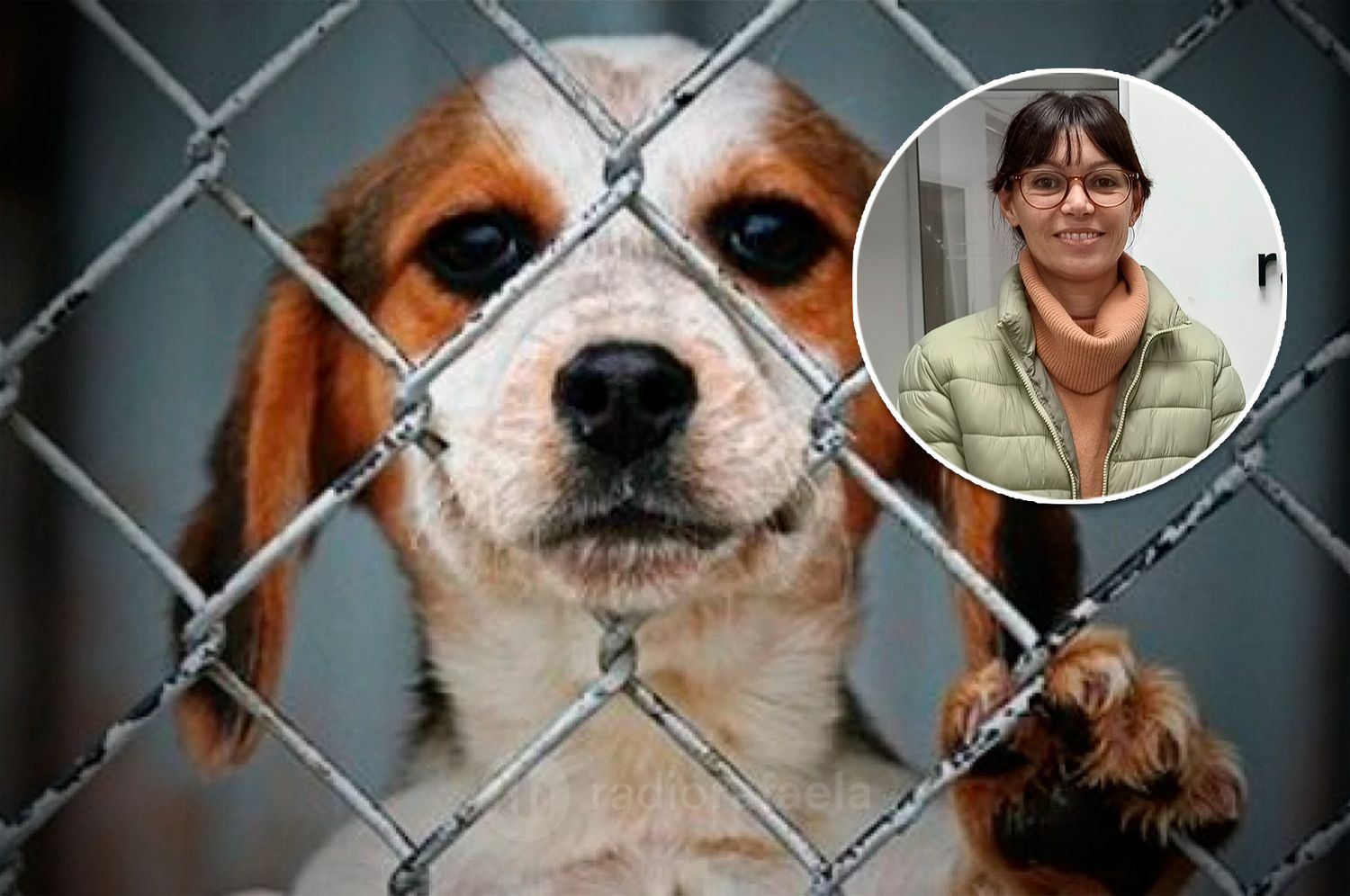 Nadia Rodriguez -Proteccionista De Adapa