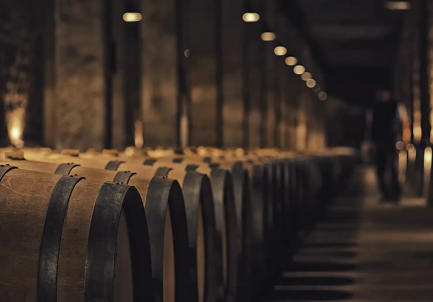 Efecto madera: el roble, el vino y el tiempo