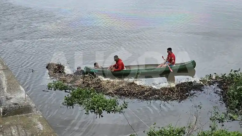 Dramática búsqueda en Ruta 168: identificaron al chofer que cayó del puente