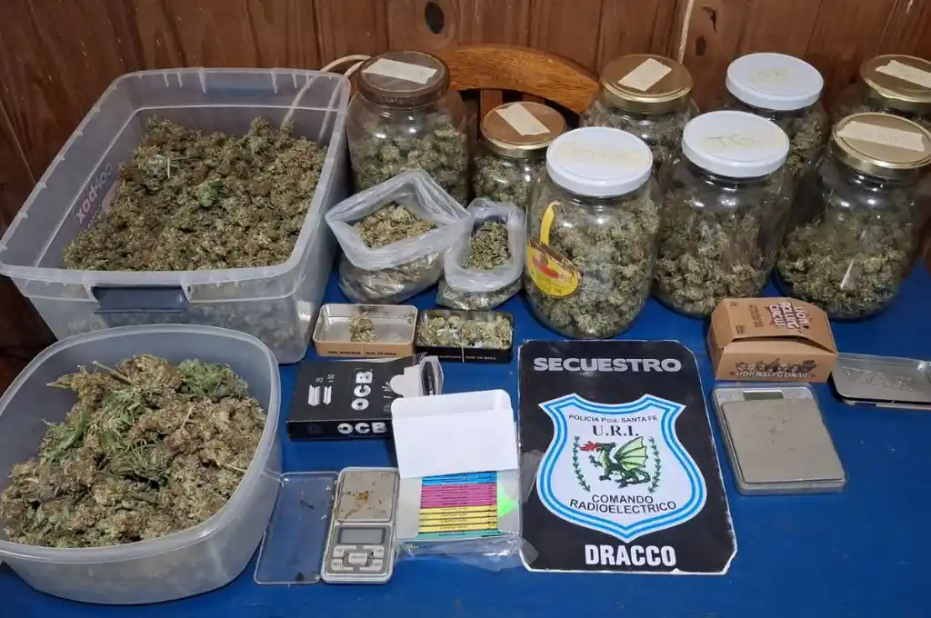 Secuestran cogollos de marihuana
