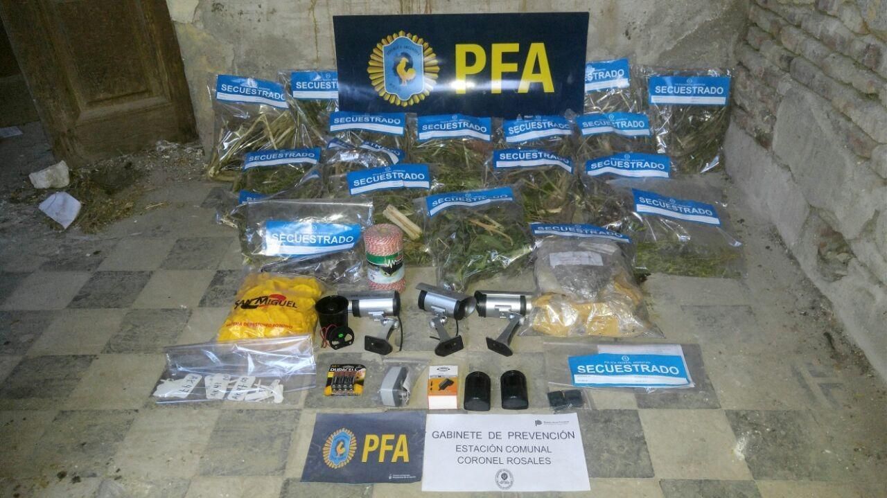 Punta Alta: Tenía una plantación de marihuana al lado de un Juzgado de paz